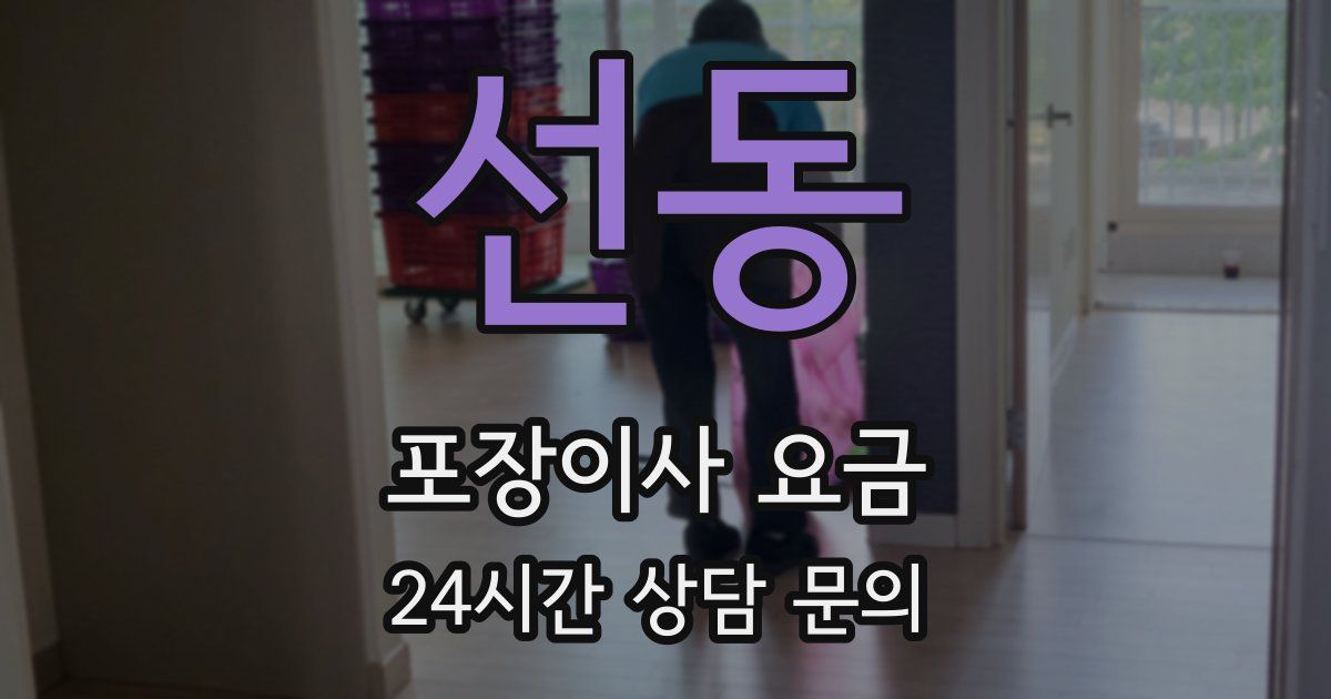 선동 포장이사 요금