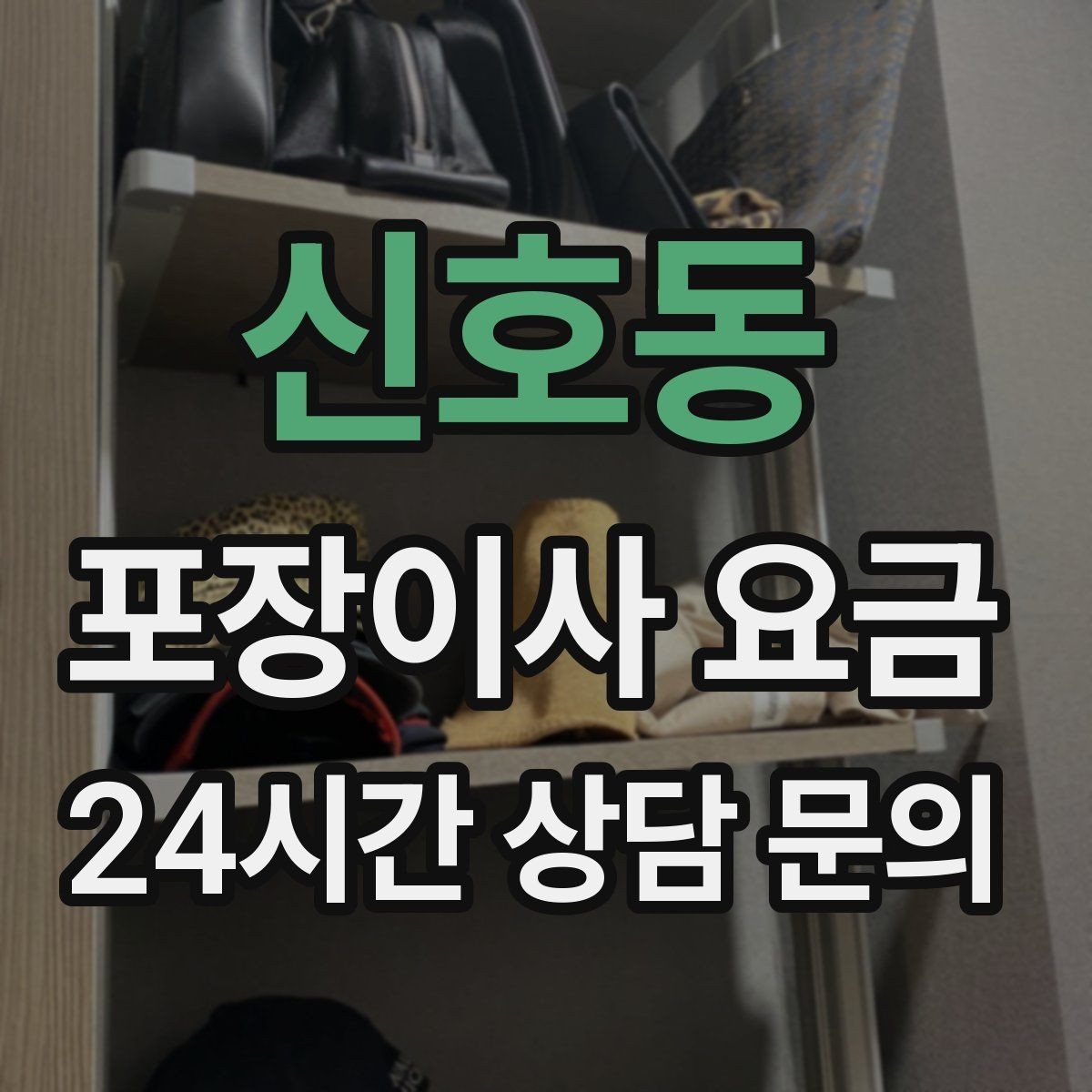 신호동 포장이사 요금 전입신고·주소 변경과 이사 일정 맞추기