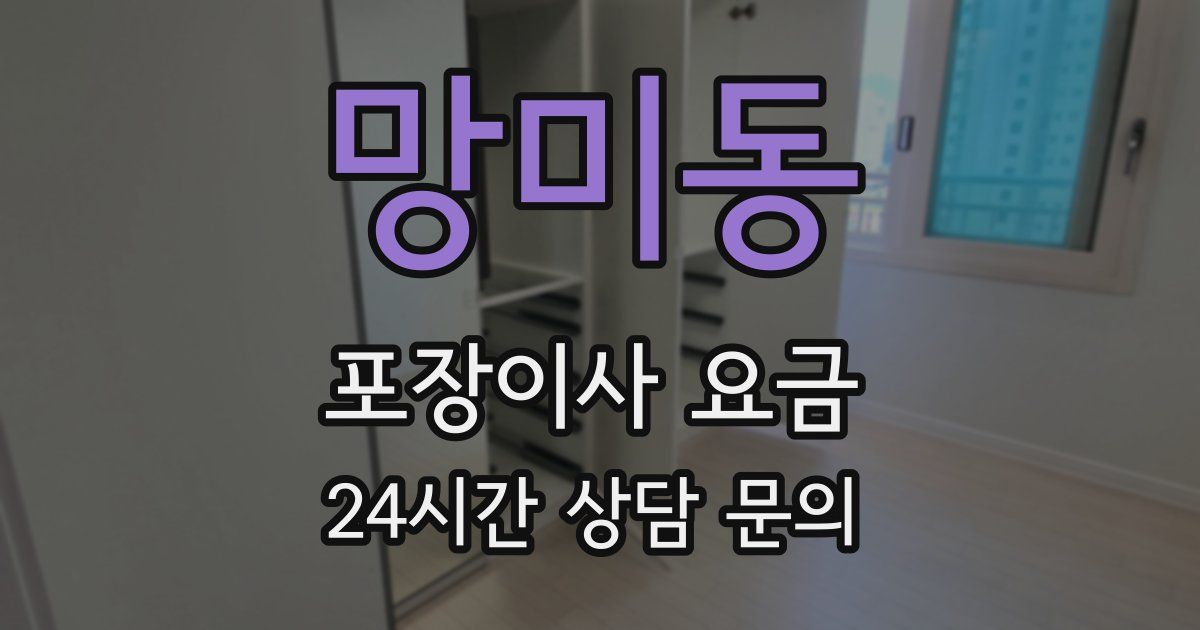 망미동 포장이사 요금