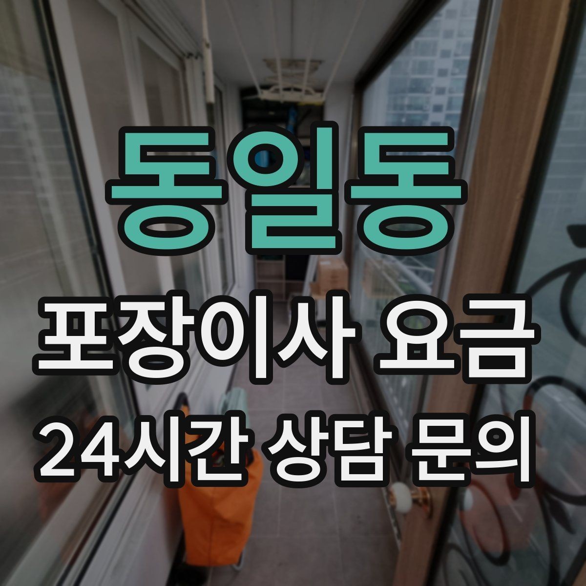 동일동 포장이사 요금 반려동물 동선 확보로 사고 줄이는 방법