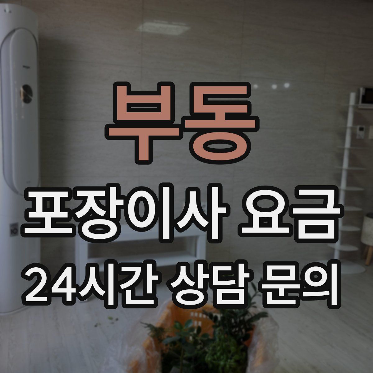 부동 포장이사 요금
