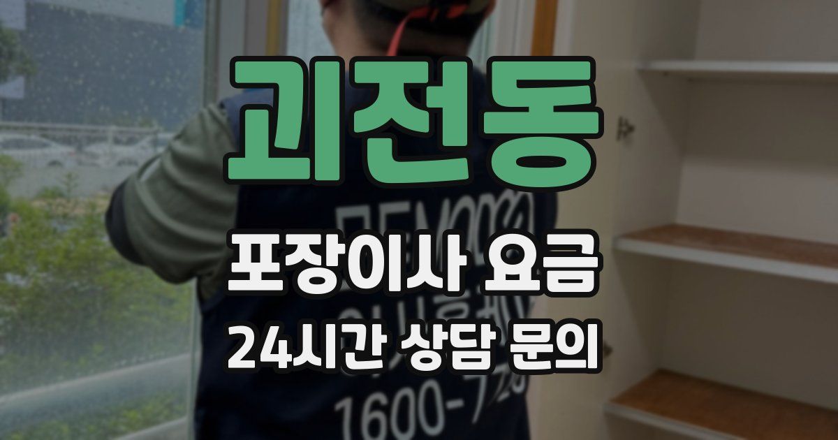 괴전동 포장이사 요금