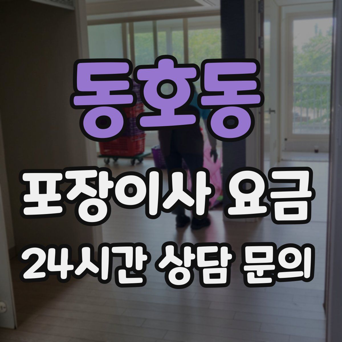 동호동 포장이사 요금