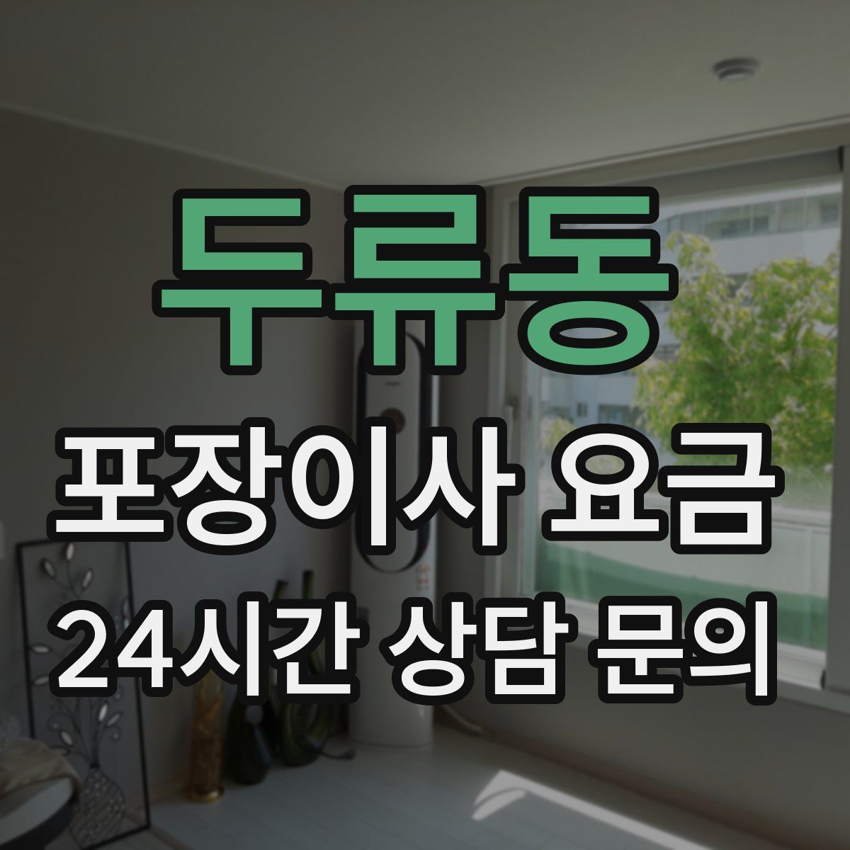 두류동 포장이사 요금