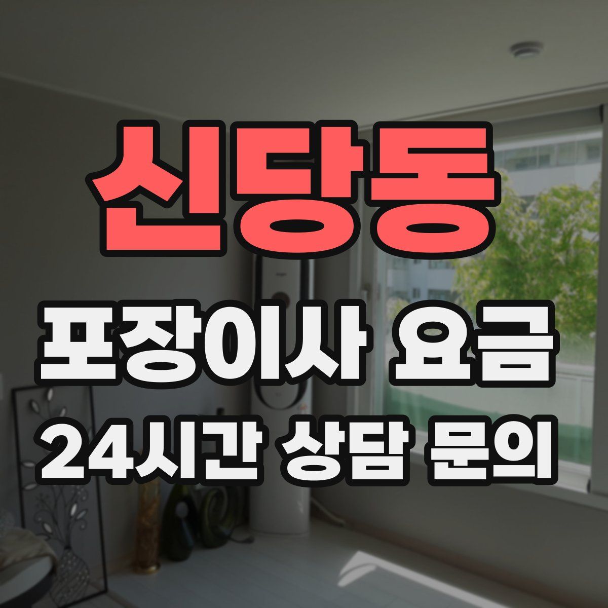 신당동 포장이사 요금