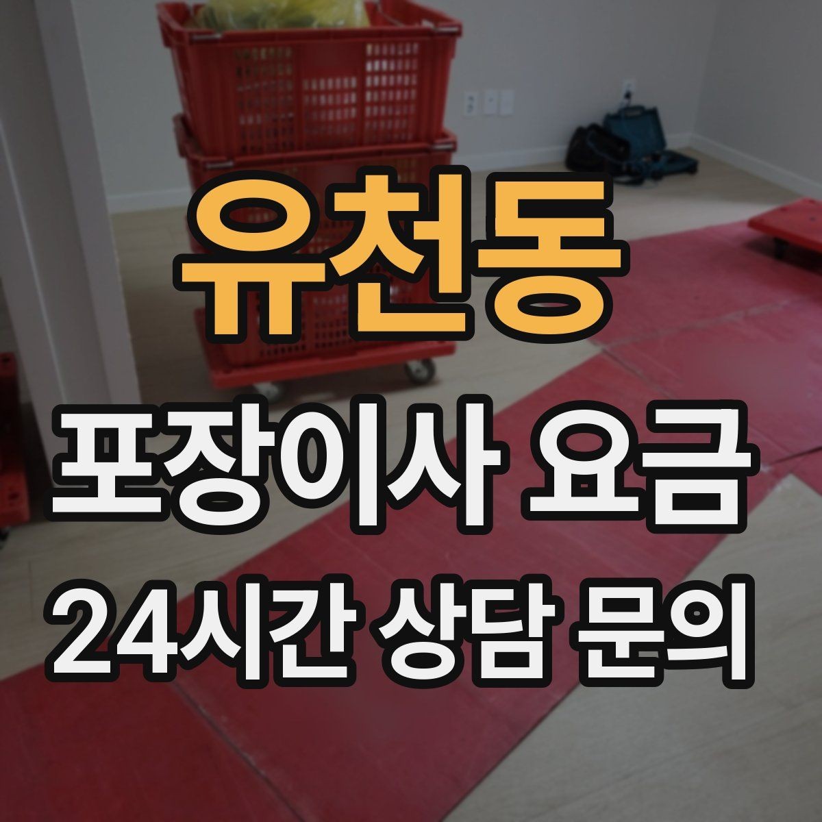 유천동 포장이사 요금 냉동식품이 많을 때 이사 당일 대처
