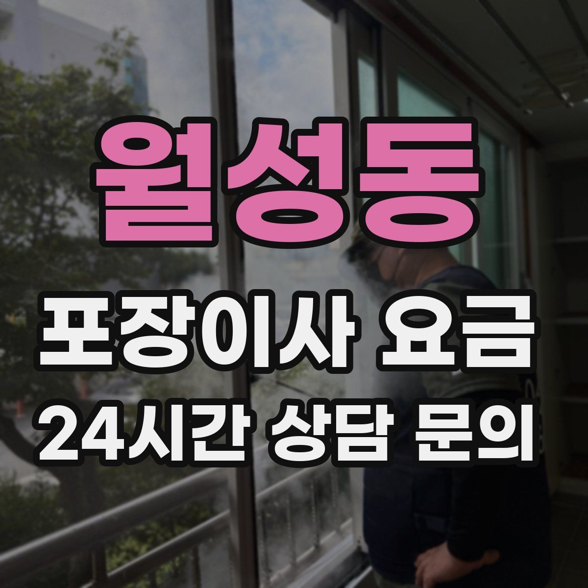 월성동 포장이사 요금