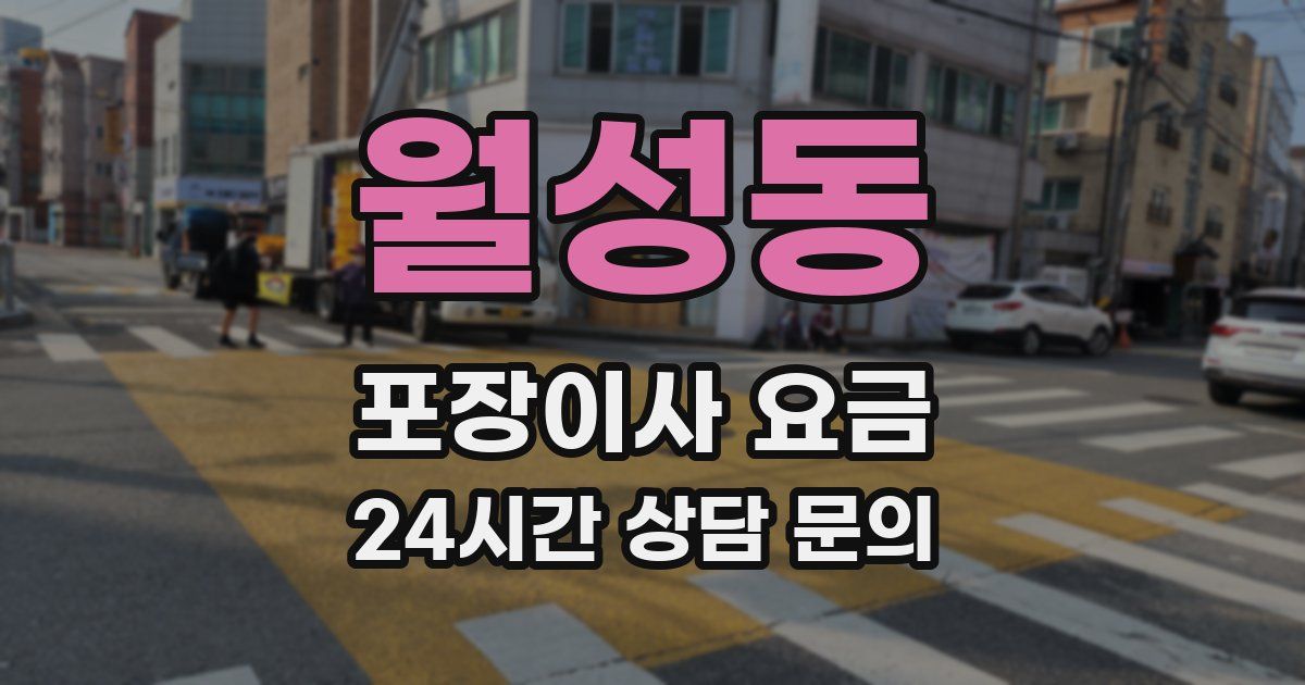 월성동 포장이사 요금