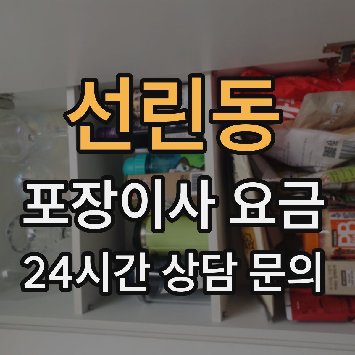 선린동 포장이사 요금 반려동물 이사 준비가 비용에 미치는 영향