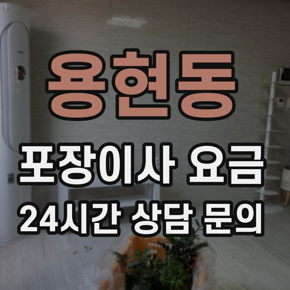 용현동 포장이사 요금