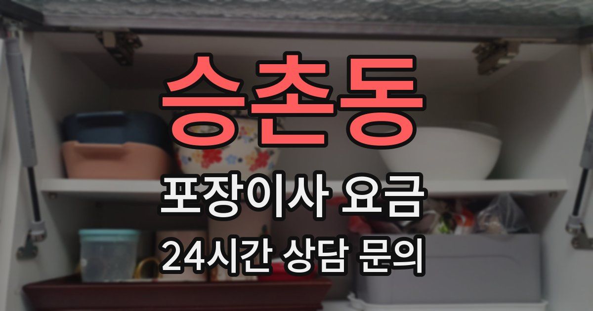 승촌동 포장이사 요금