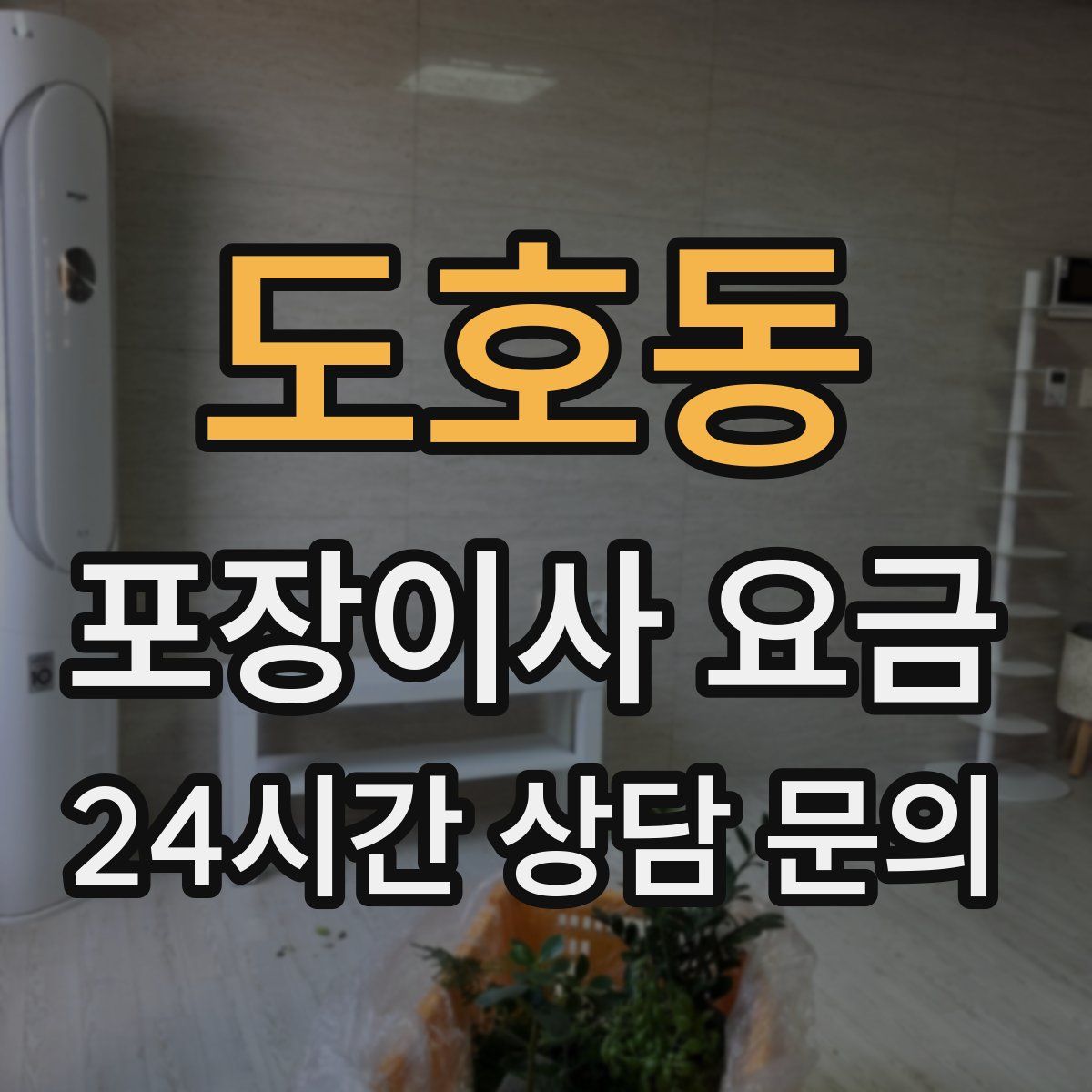 도호동 포장이사 요금