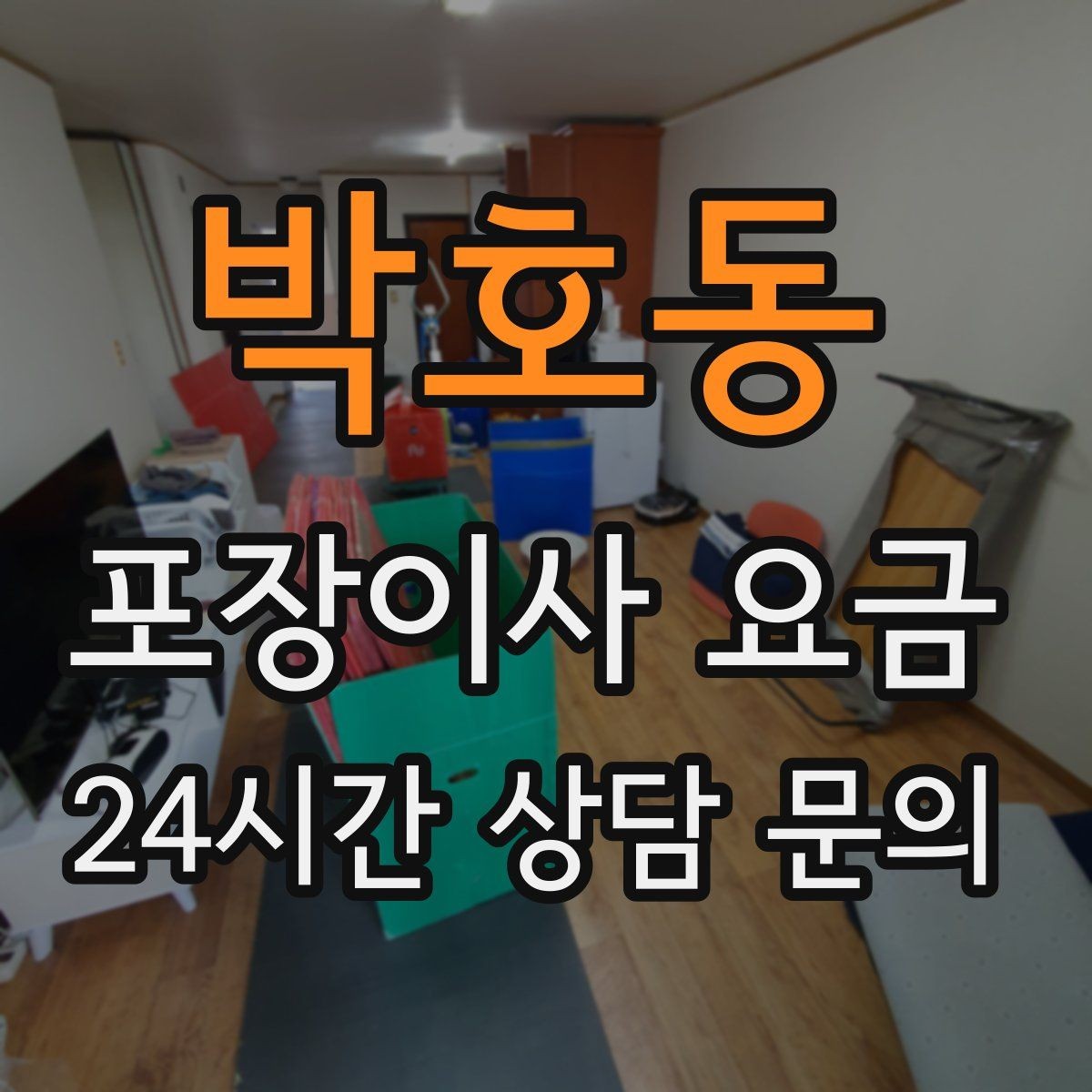 박호동 포장이사 요금 반려동물 스트레스 줄이는 이사 당일 동선