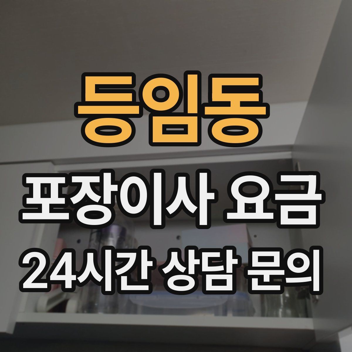 등임동 포장이사 요금 반려동물 동선 확보로 사고 줄이는 방법