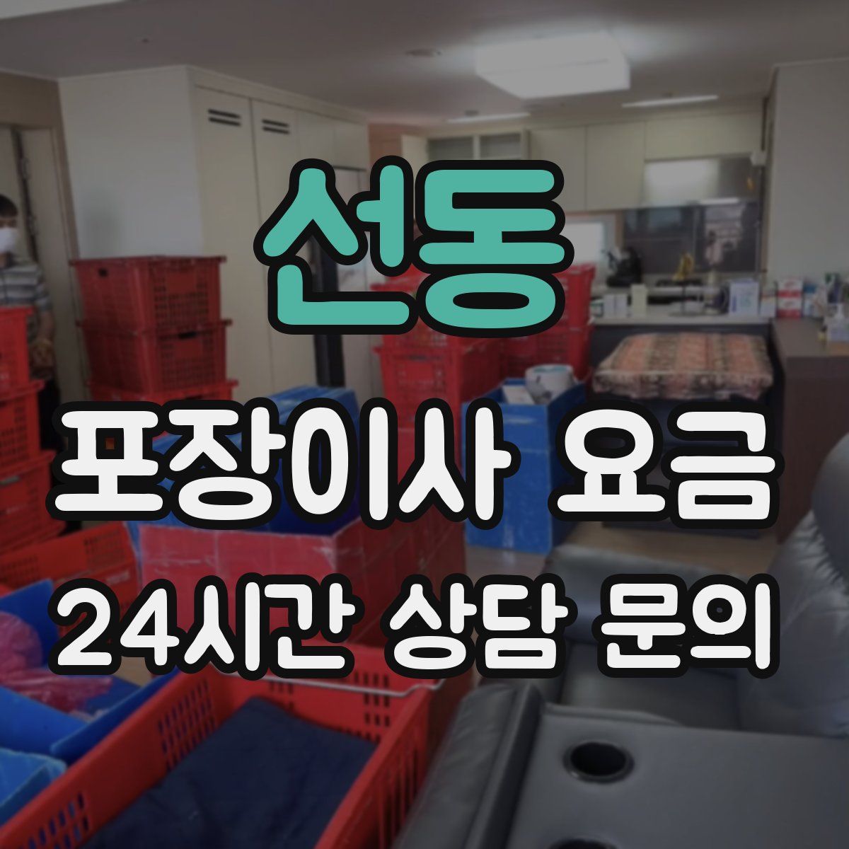 선동 포장이사 요금