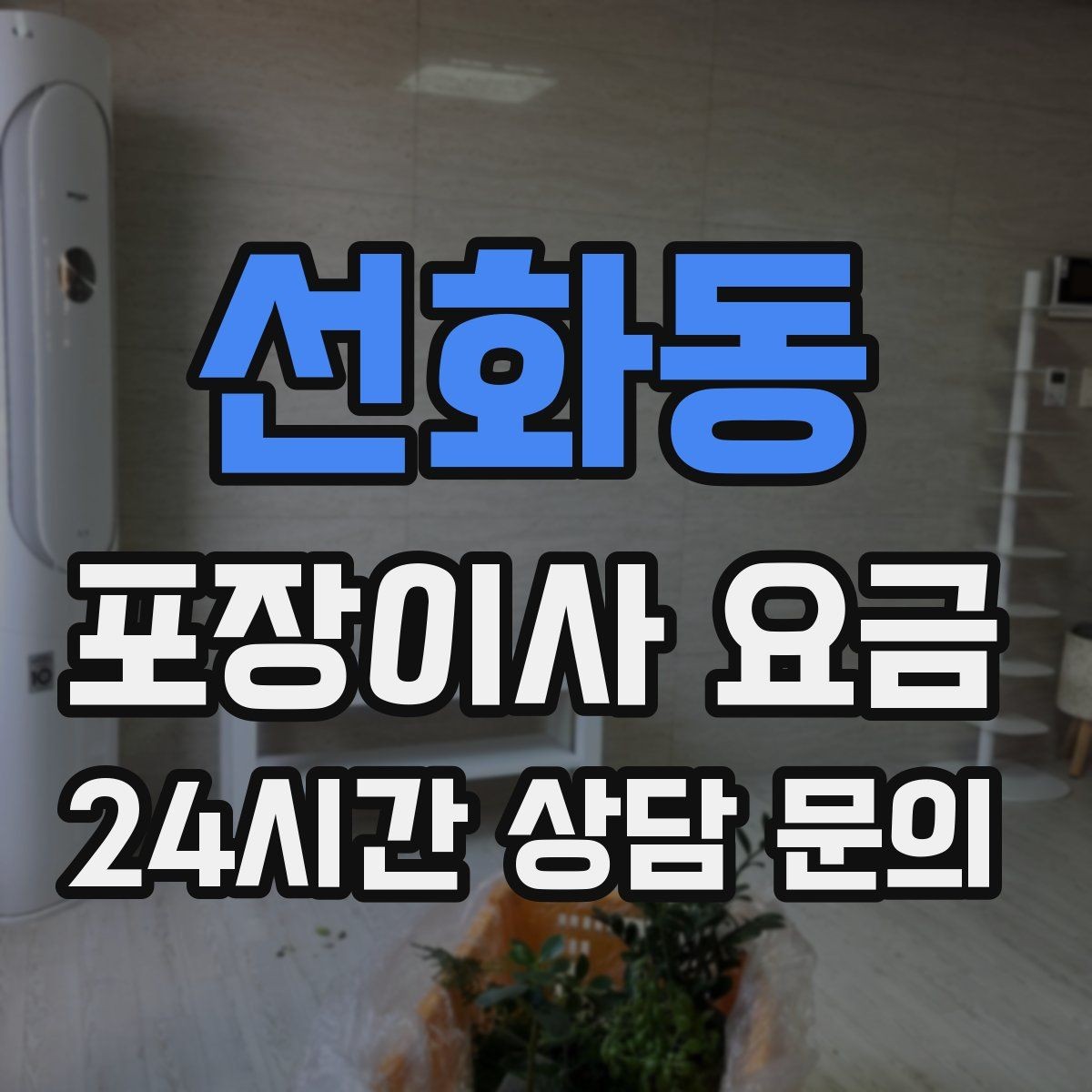 선화동 포장이사 요금 계절옷 압축팩이 유리한 경우