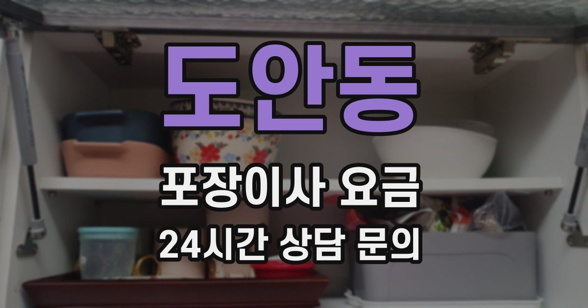 도안동 포장이사 요금