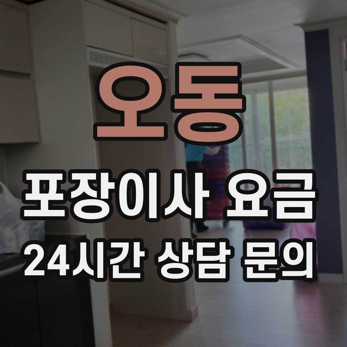오동 포장이사 요금 바닥 보호·벽 보호가 포함인지 확인하기