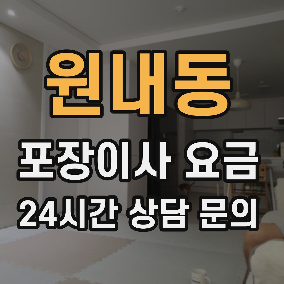원내동 포장이사 요금