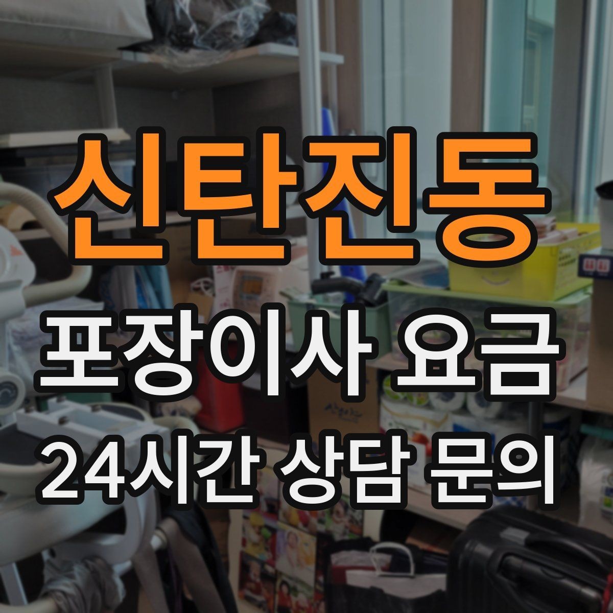 신탄진동 포장이사 요금 반려동물 이사 준비가 비용에 미치는 영향