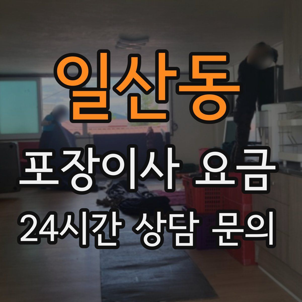 일산동 포장이사 요금