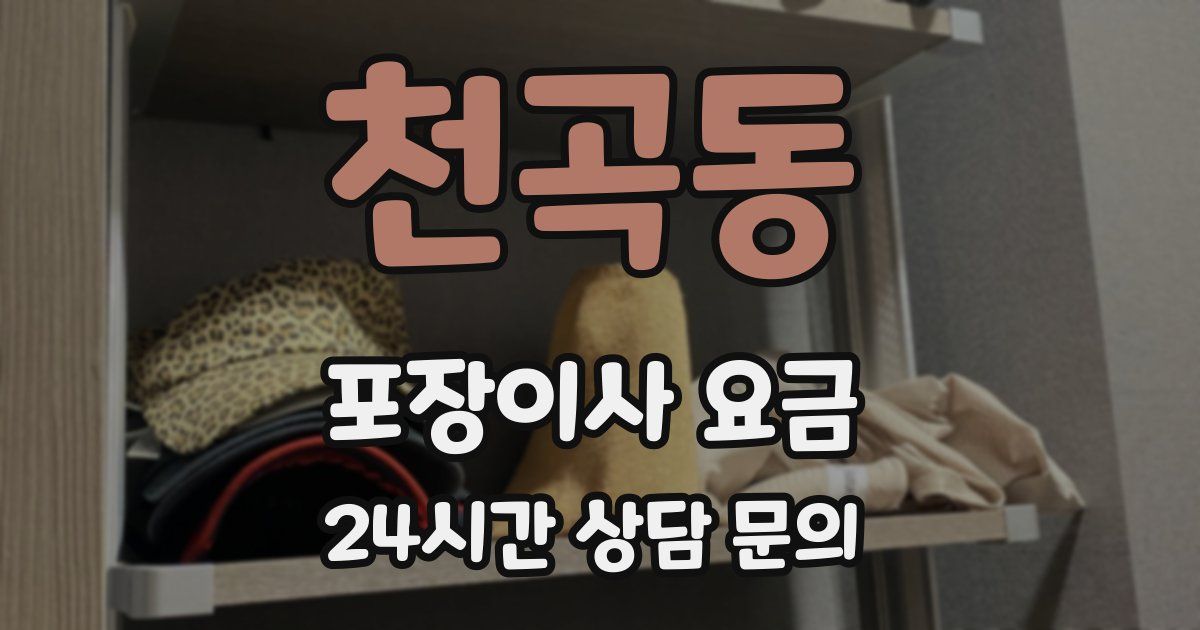 천곡동 포장이사 요금