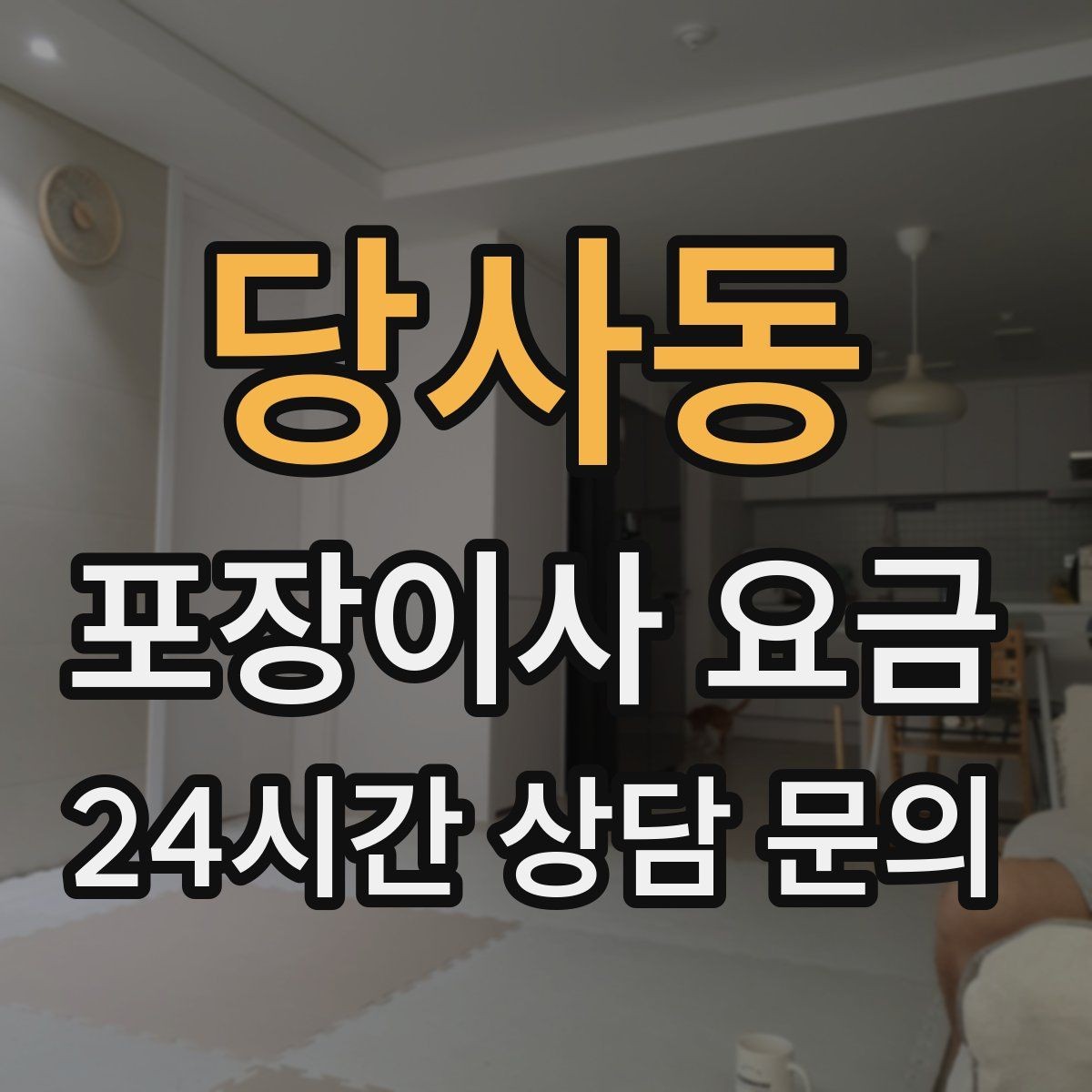 당사동 포장이사 요금 정리정돈 서비스까지 필요할 때 판단 기준