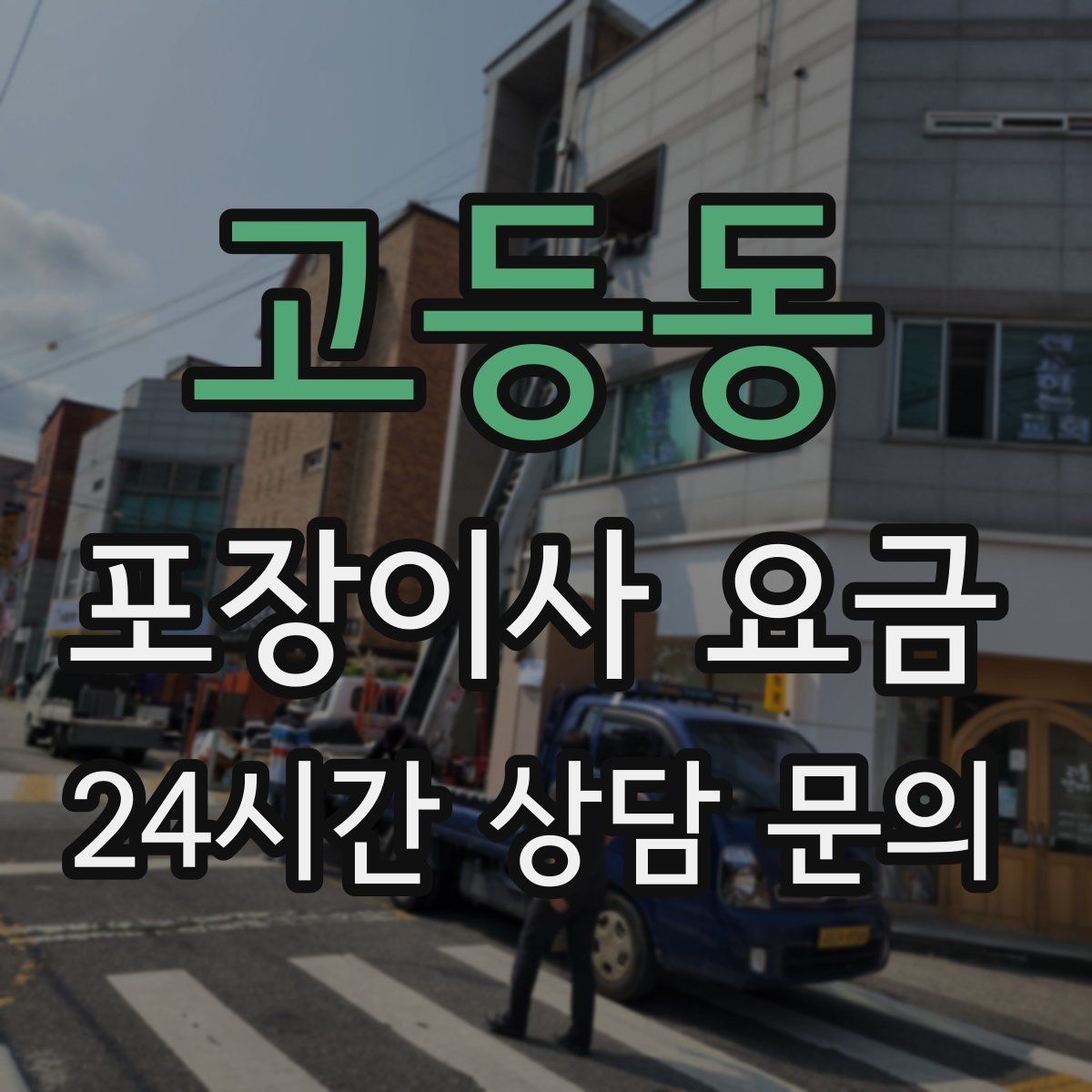 고등동 포장이사 요금 반려동물 동선 확보로 사고 줄이는 방법
