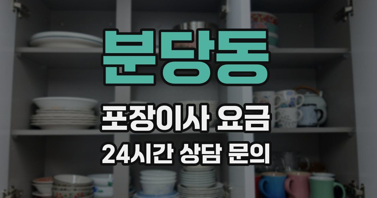 분당동 포장이사 요금