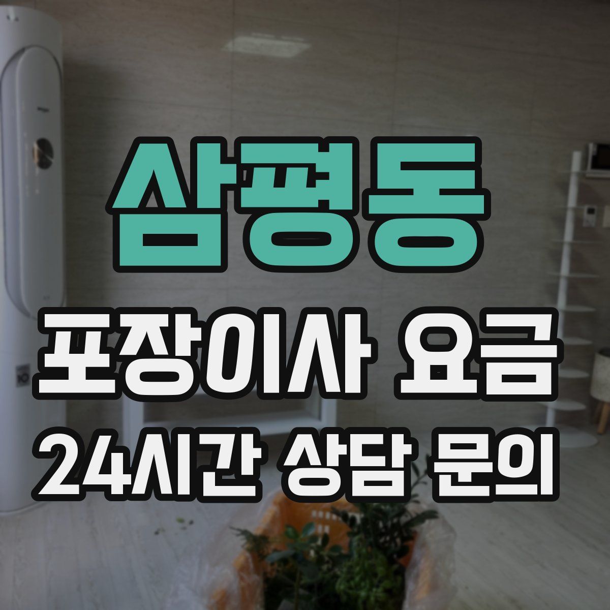 삼평동 포장이사 요금