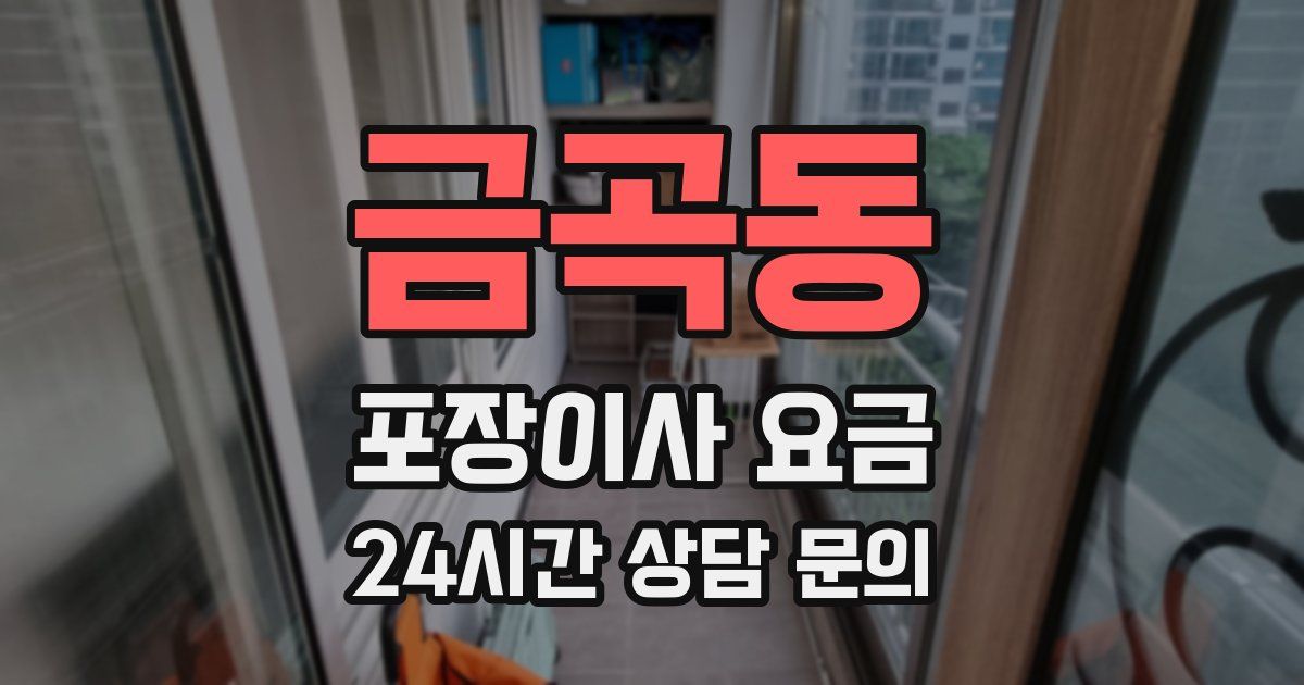 금곡동 포장이사 요금