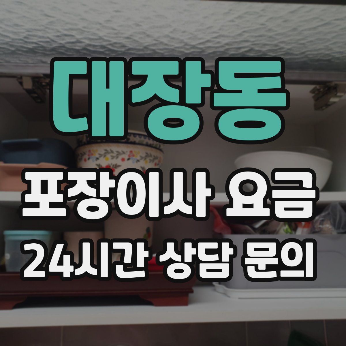 대장동 포장이사 요금