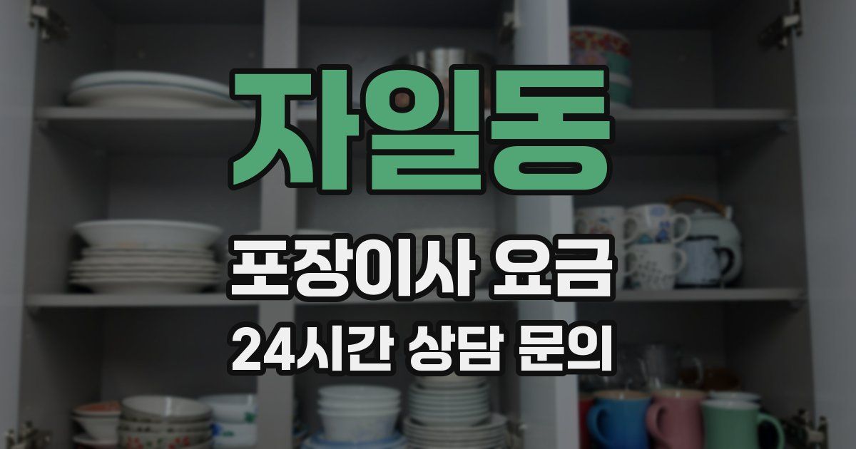 자일동 포장이사 요금