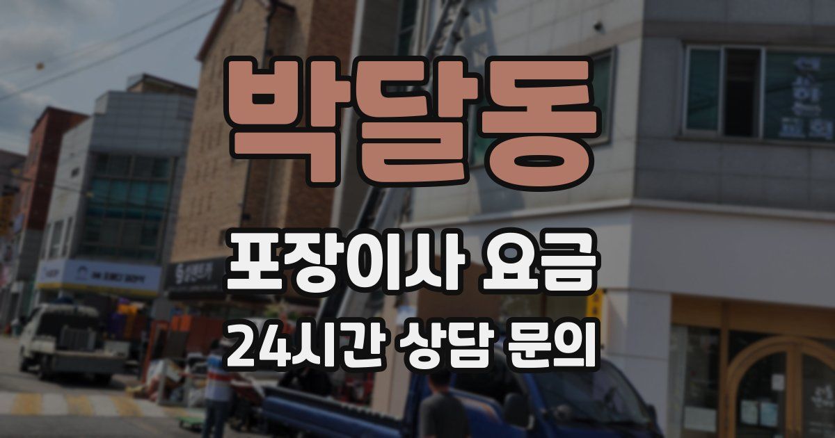 박달동 포장이사 요금