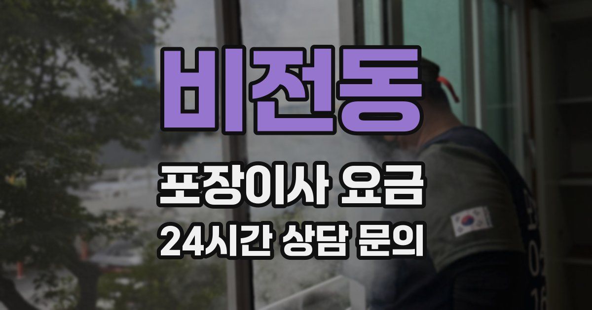 비전동 포장이사 요금