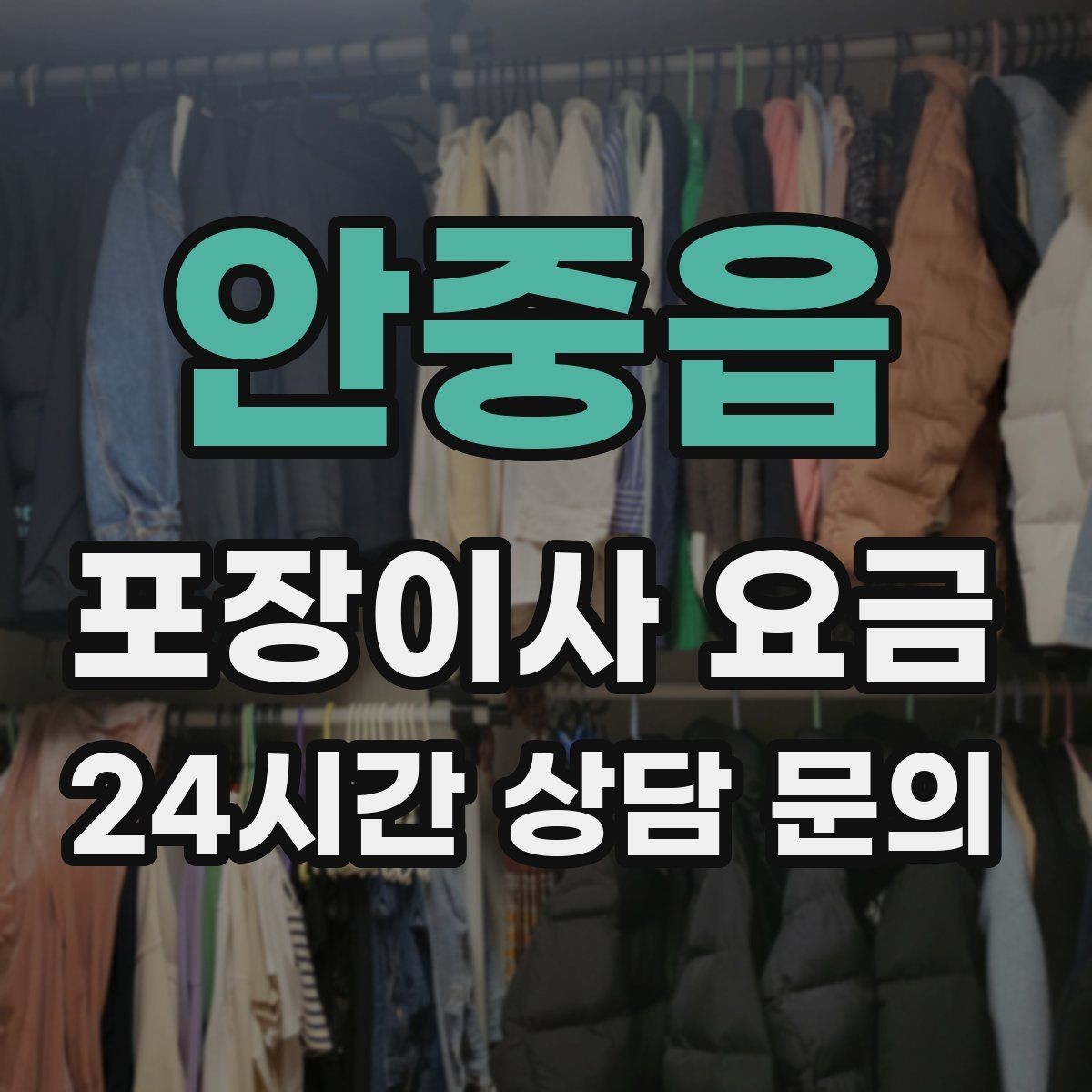 안중읍 포장이사 요금 어항·대형 화분이 있을 때 견적 포인트