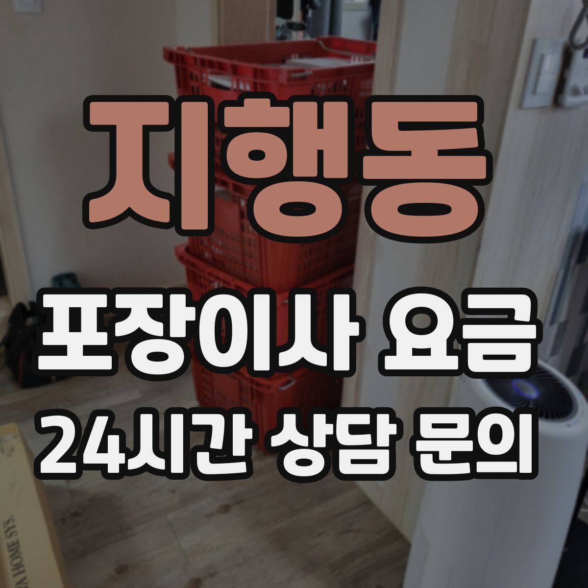 지행동 포장이사 요금