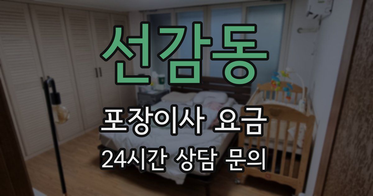 선감동 포장이사 요금