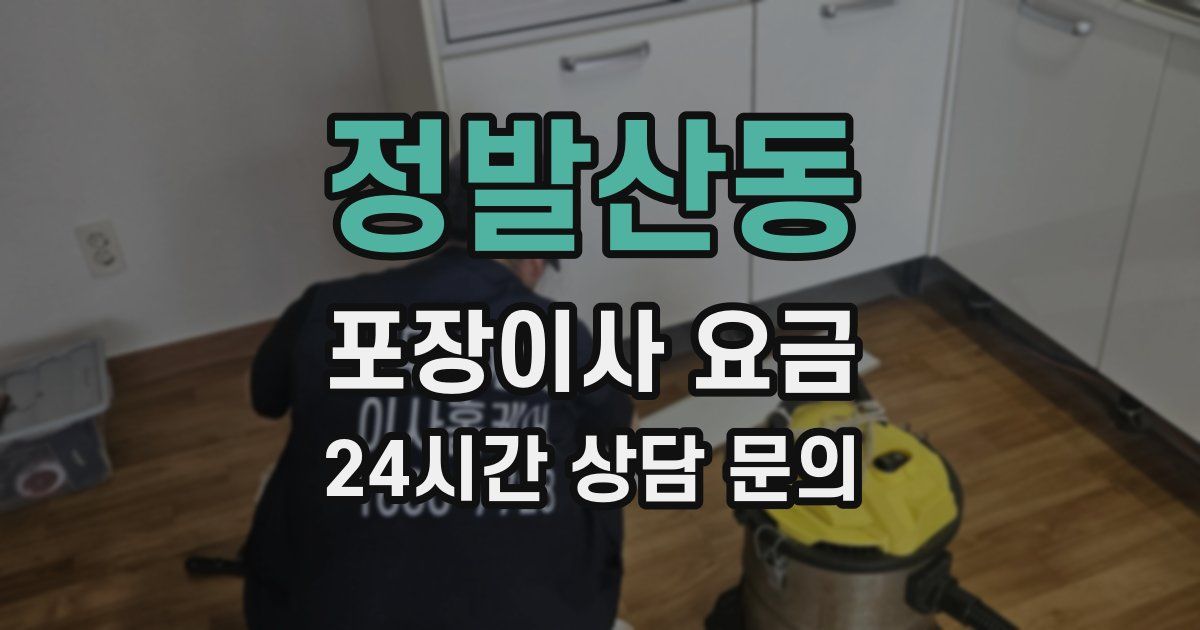 정발산동 포장이사 요금