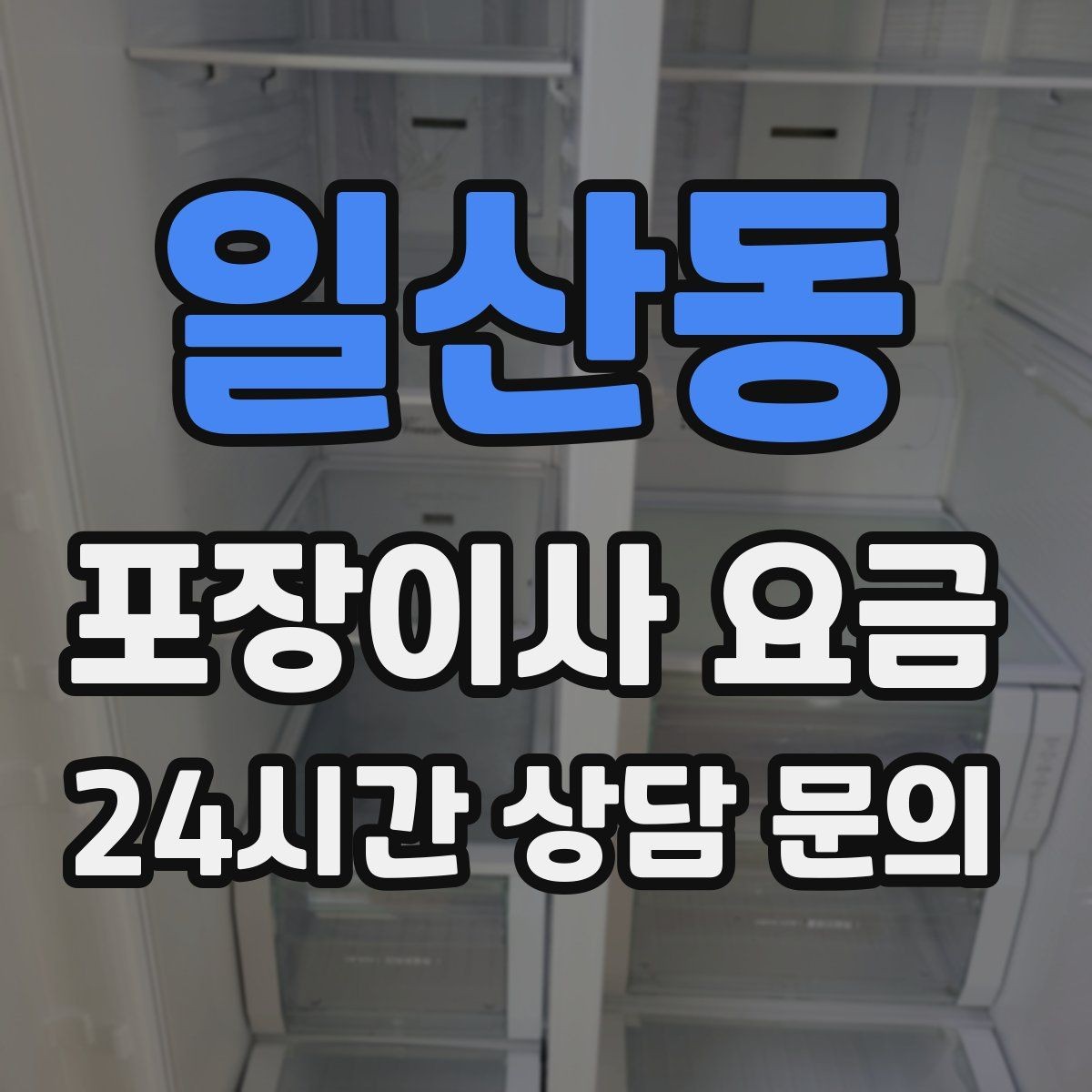 일산동 포장이사 요금 단독주택 마당 동선이 변수인 이유