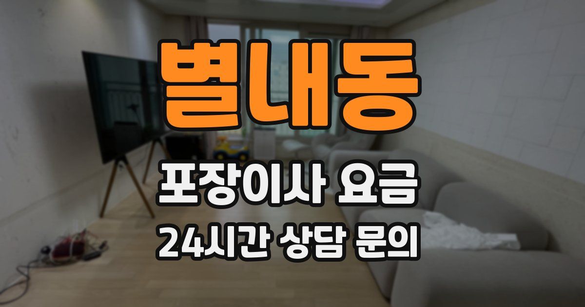 별내동 포장이사 요금