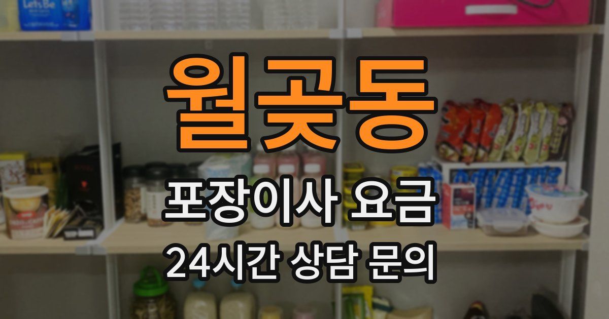 월곶동 포장이사 요금