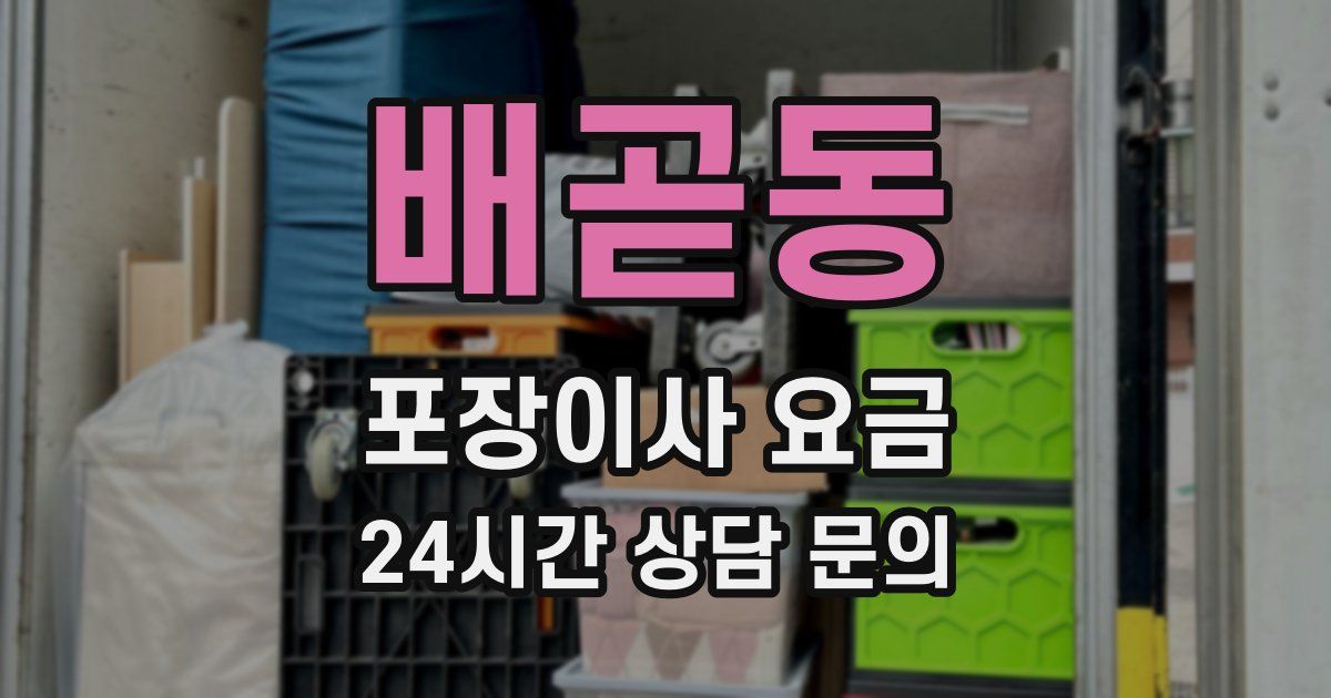 배곧동 포장이사 요금