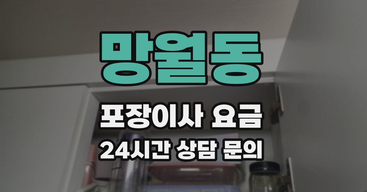 망월동 포장이사 요금