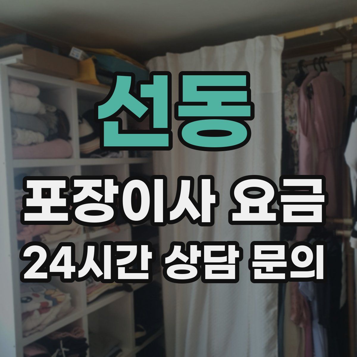선동 포장이사 요금