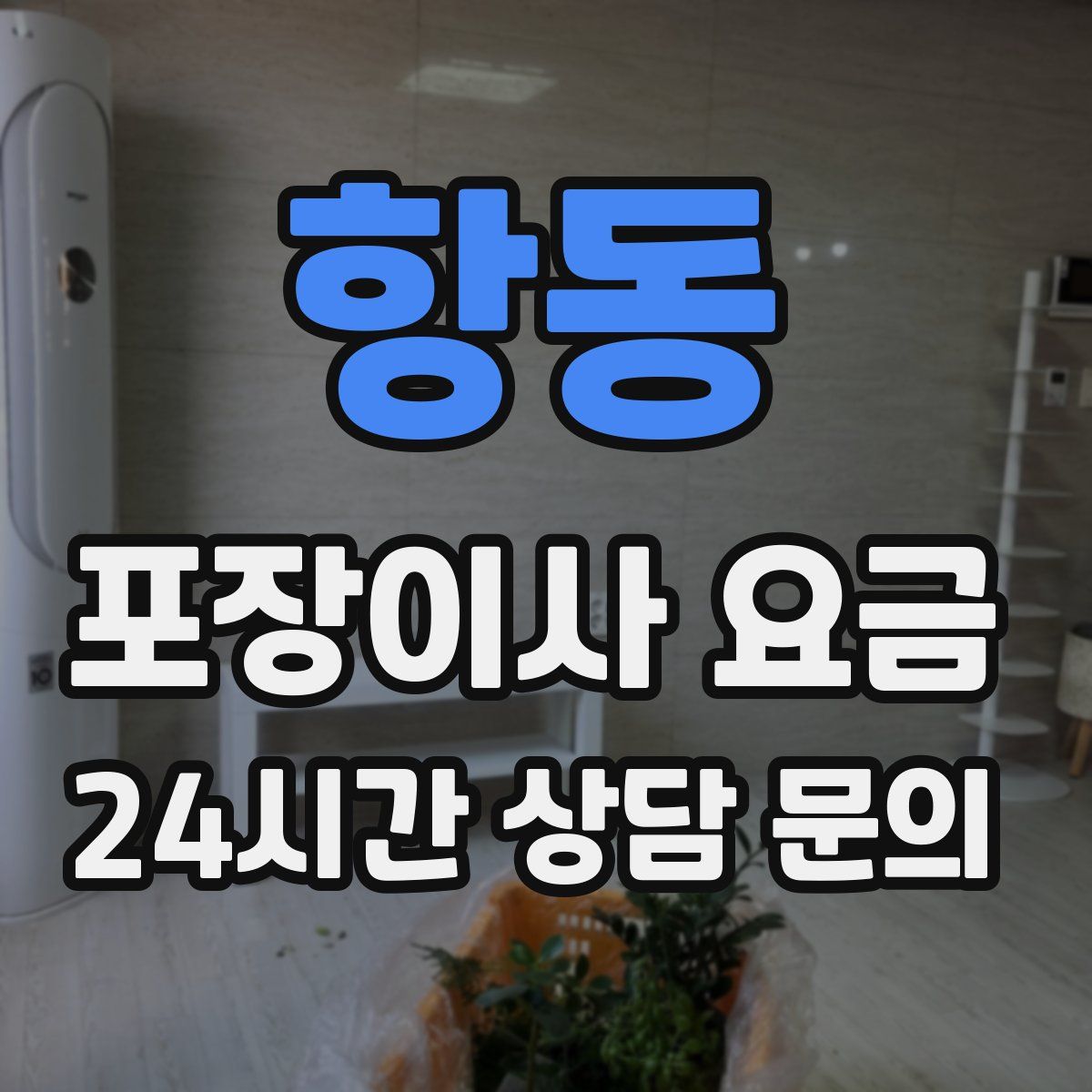 항동 포장이사 요금