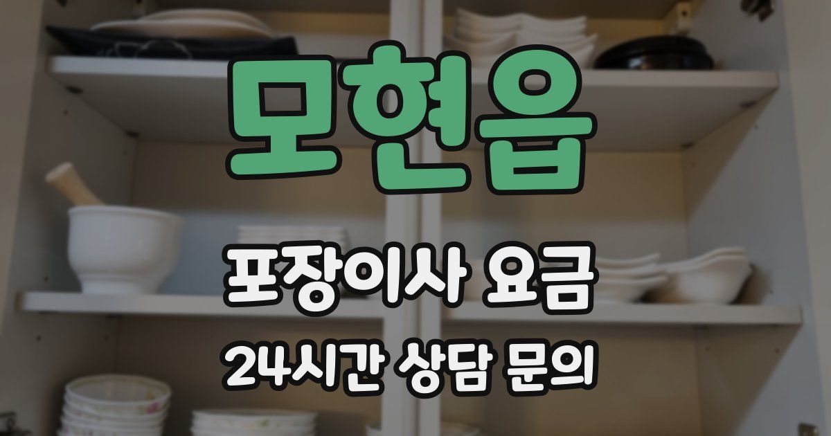 모현읍 포장이사 요금