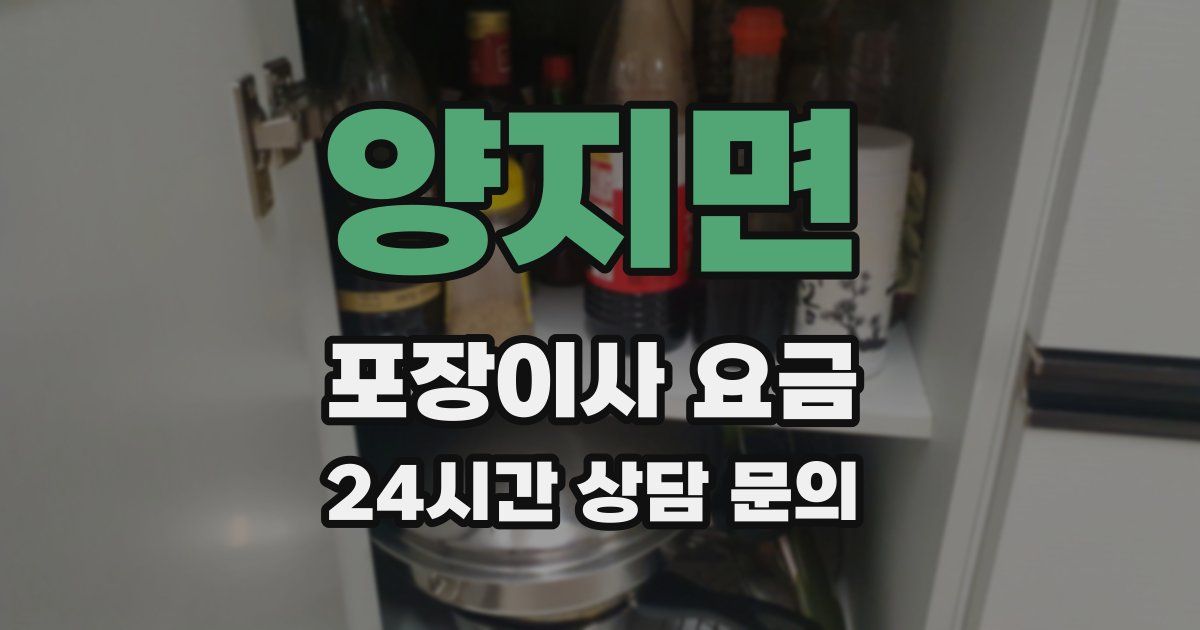 양지면 포장이사 요금