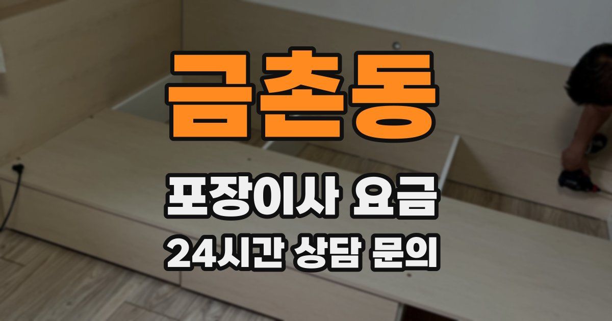금촌동 포장이사 요금