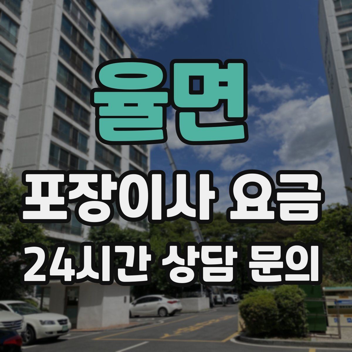 율면 포장이사 요금 책을 줄이면 작업이 빨라지는 이유